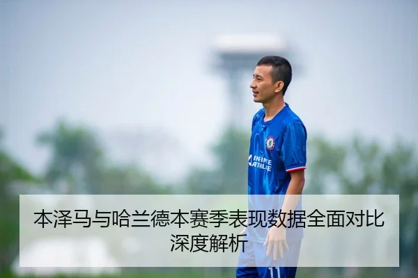 本泽马与哈兰德本赛季表现数据全面对比深度解析
